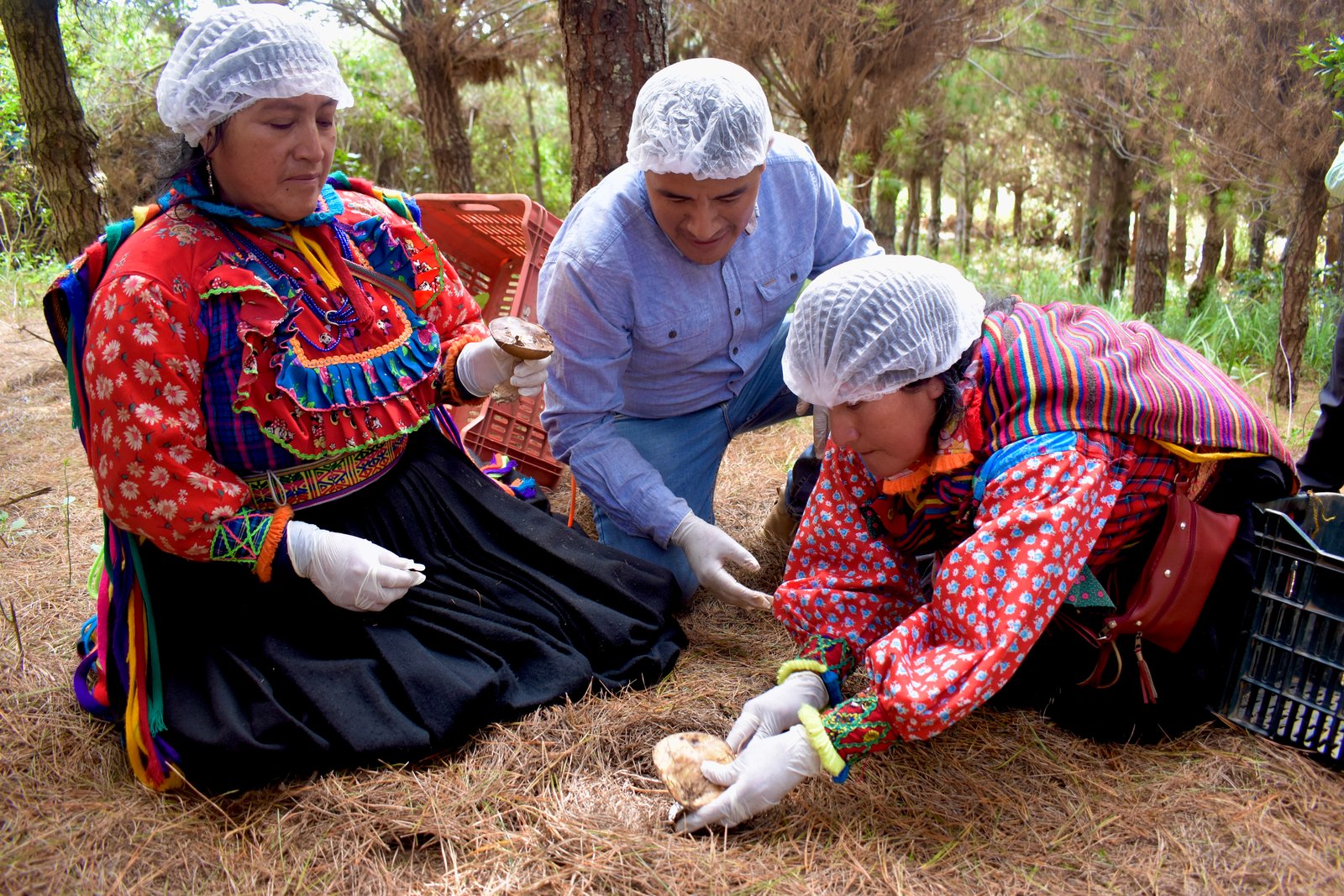Ubicación de SIMBIOSIS