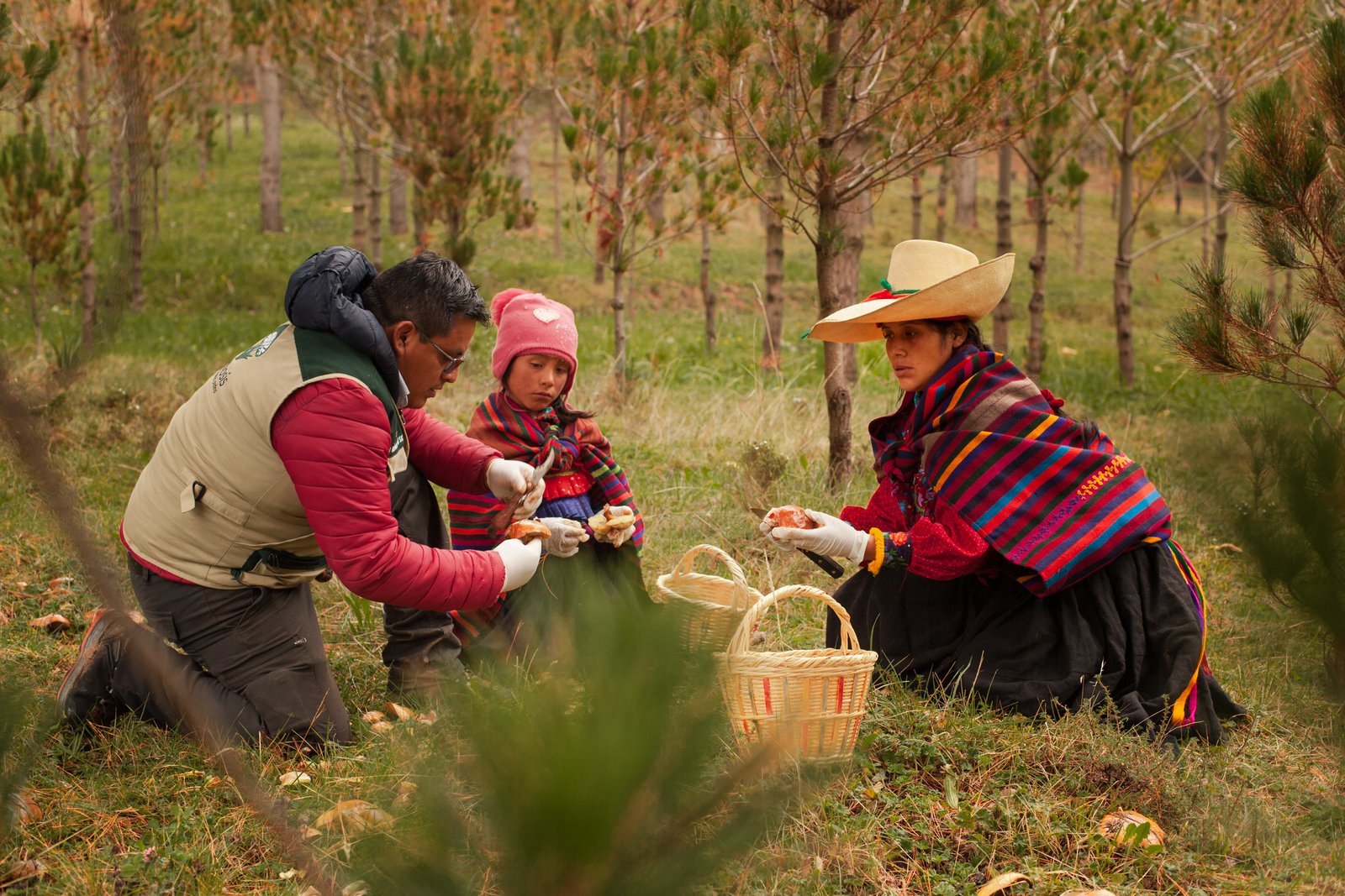 Servicios RURASHUNYAPA